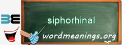 WordMeaning blackboard for siphorhinal